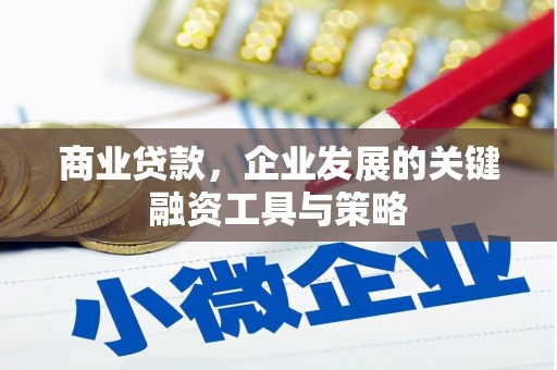 白河商业贷款，企业发展的关键融资工具与策略