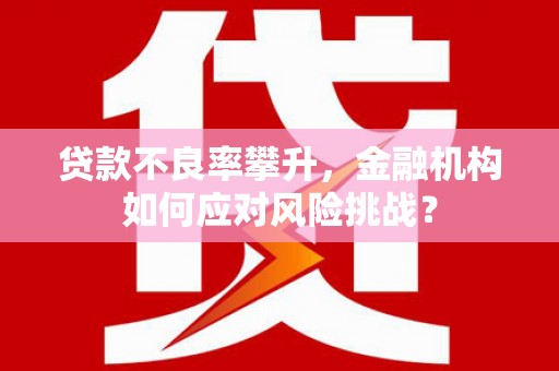 白河贷款不良率攀升，金融机构如何应对风险挑战？