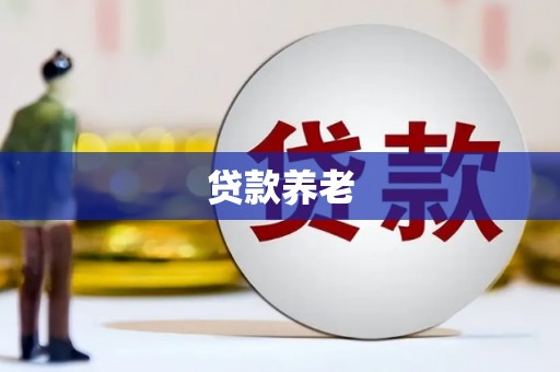 白河贷款养老