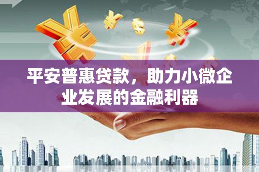 白河平安普惠贷款，助力小微企业发展的金融利器