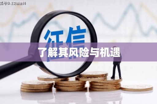 白河了解其风险与机遇