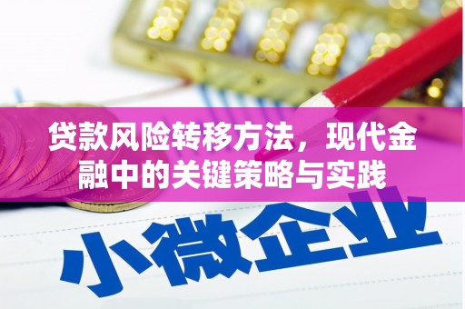 白河贷款风险转移方法，现代金融中的关键策略与实践