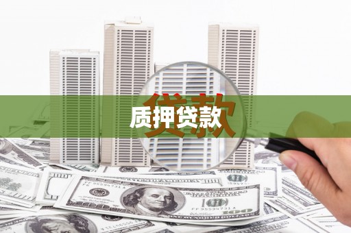 白河质押贷款