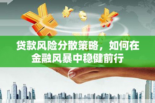 白河贷款风险分散策略，如何在金融风暴中稳健前行