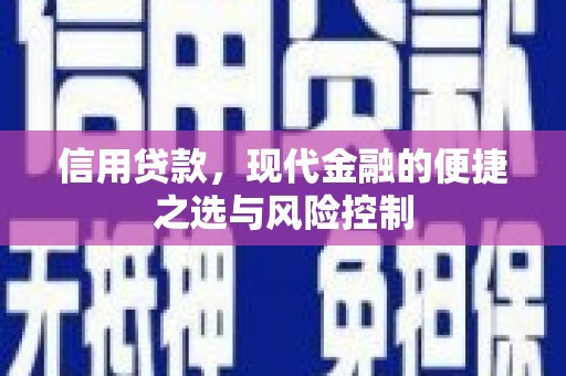 白河信用贷款，现代金融的便捷之选与风险控制