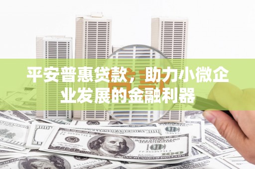 白河平安普惠贷款，助力小微企业发展的金融利器