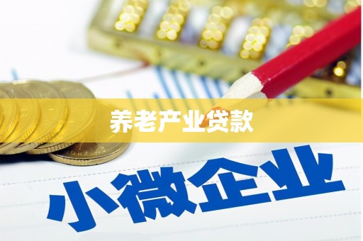 白河养老产业贷款