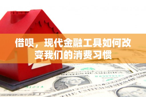 白河借呗，现代金融工具如何改变我们的消费习惯