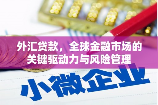 白河外汇贷款，全球金融市场的关键驱动力与风险管理