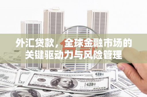 白河外汇贷款，全球金融市场的关键驱动力与风险管理