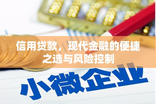 白河信用贷款，现代金融的便捷之选与风险控制