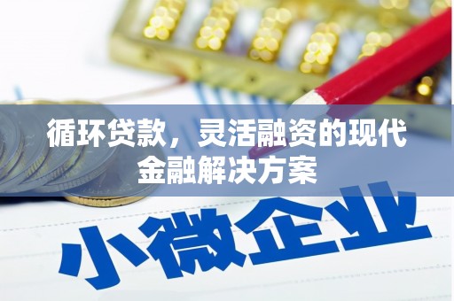 白河循环贷款，灵活融资的现代金融解决方案