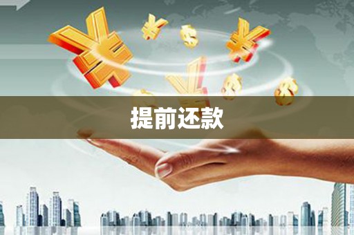 白河提前还款
