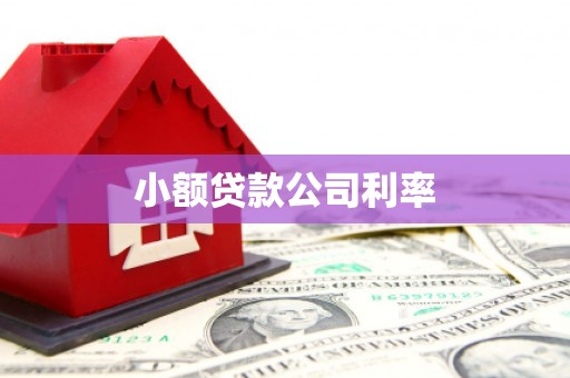 白河小额贷款公司利率