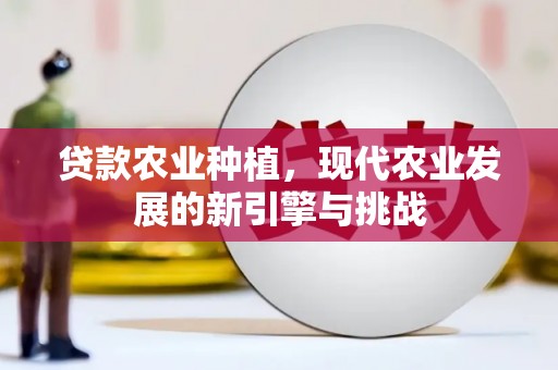 白河贷款农业种植，现代农业发展的新引擎与挑战