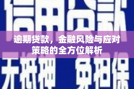 白河逾期贷款，金融风险与应对策略的全方位解析