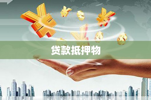 白河贷款抵押物