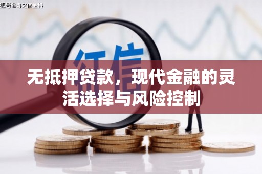 白河无抵押贷款，现代金融的灵活选择与风险控制