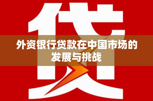 白河外资银行贷款在中国市场的发展与挑战