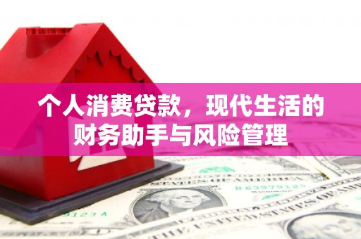白河个人消费贷款，现代生活的财务助手与风险管理
