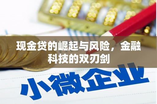白河现金贷的崛起与风险，金融科技的双刃剑