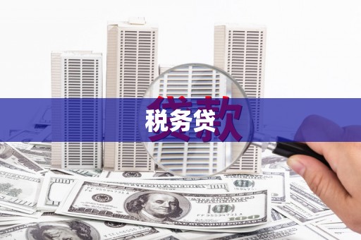白河税务贷