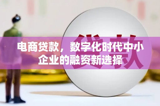 白河电商贷款，数字化时代中小企业的融资新选择