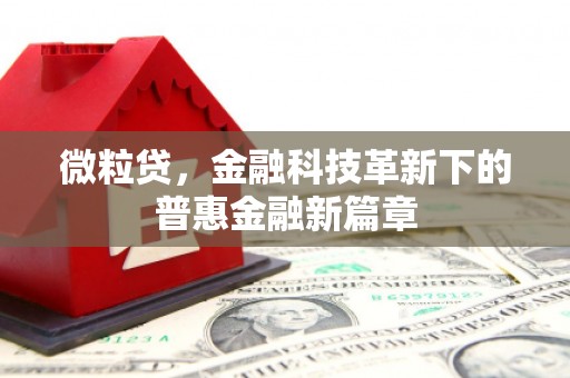 白河微粒贷，金融科技革新下的普惠金融新篇章