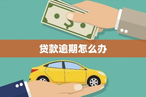 白河贷款逾期怎么办