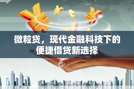 白河微粒贷，现代金融科技下的便捷借贷新选择
