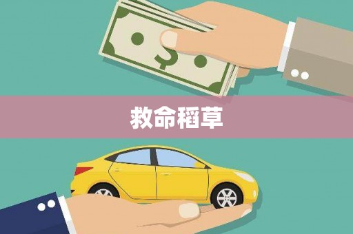 白河救命稻草