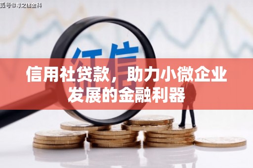 白河信用社贷款，助力小微企业发展的金融利器