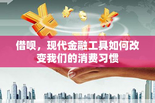 白河借呗，现代金融工具如何改变我们的消费习惯