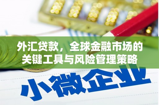 白河外汇贷款，全球金融市场的关键工具与风险管理策略