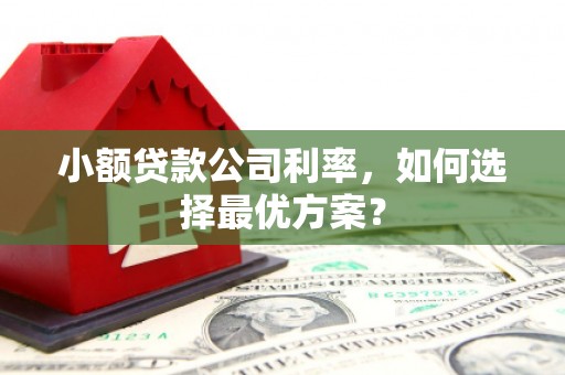 白河小额贷款公司利率，如何选择最优方案？