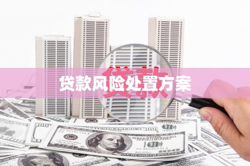 白河贷款风险处置方案
