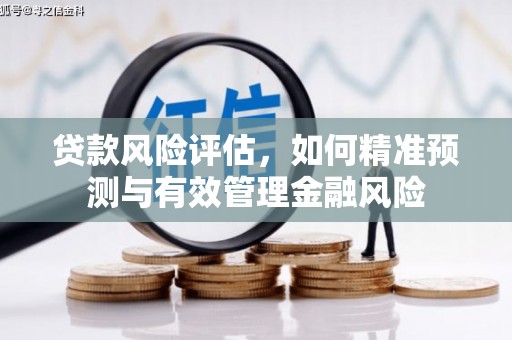 白河贷款风险评估，如何精准预测与有效管理金融风险