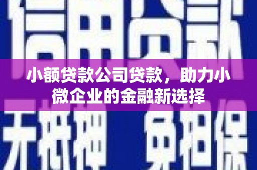 白河小额贷款公司贷款，助力小微企业的金融新选择