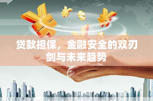 白河贷款担保，金融安全的双刃剑与未来趋势