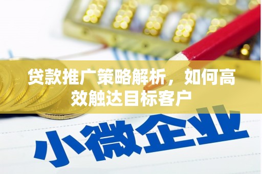 白河贷款推广策略解析，如何高效触达目标客户