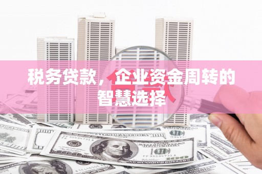 白河税务贷款，企业资金周转的智慧选择