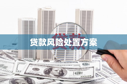 白河贷款风险处置方案