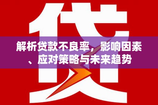 白河解析贷款不良率，影响因素、应对策略与未来趋势