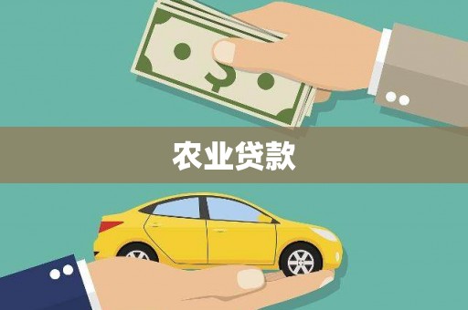 白河农业贷款