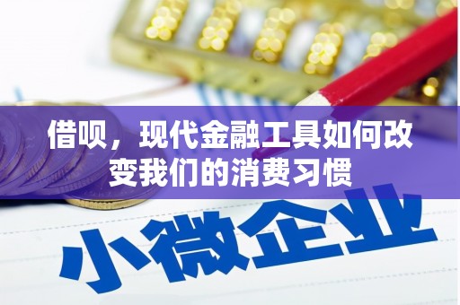 白河借呗，现代金融工具如何改变我们的消费习惯