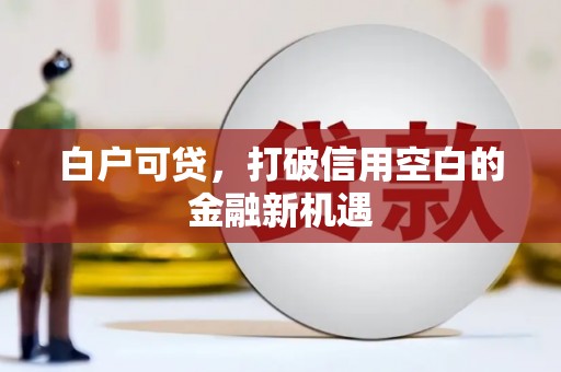 白河白户可贷，打破信用空白的金融新机遇