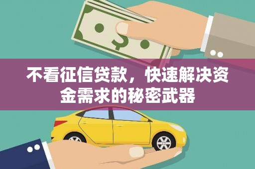 白河不看征信贷款，快速解决资金需求的秘密武器