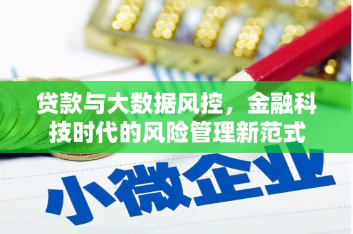 白河贷款与大数据风控，金融科技时代的风险管理新范式