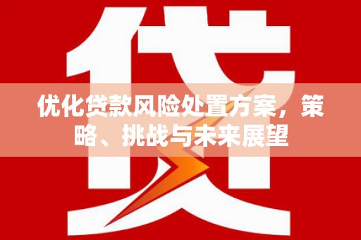 白河优化贷款风险处置方案，策略、挑战与未来展望