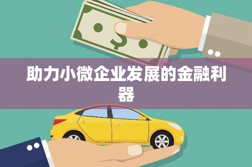 白河助力小微企业发展的金融利器